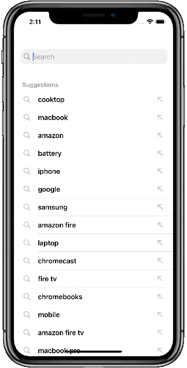 Query suggestions hits